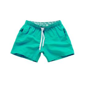 Beach Pants Men's Shorts Summer Surf Pants (Option: Green-XL)